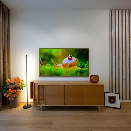 Premium With Sea View & Free Parking Apartment
